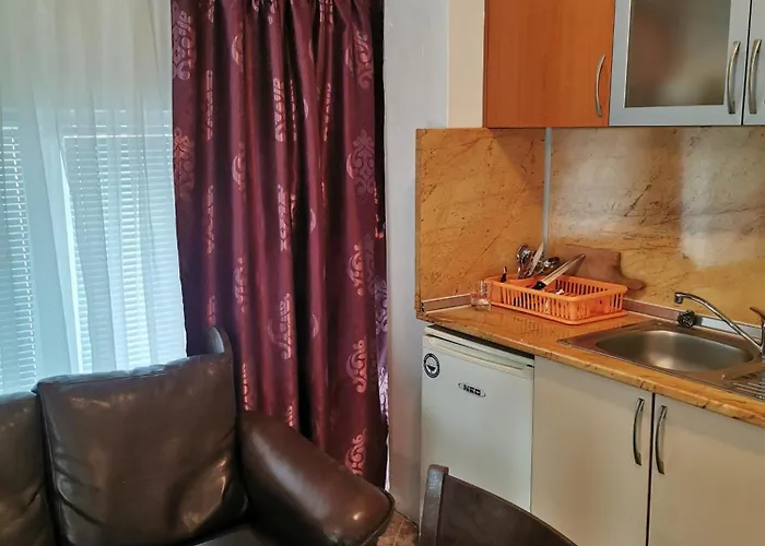 ホテル Jelezchevi Guest プリモルスコ